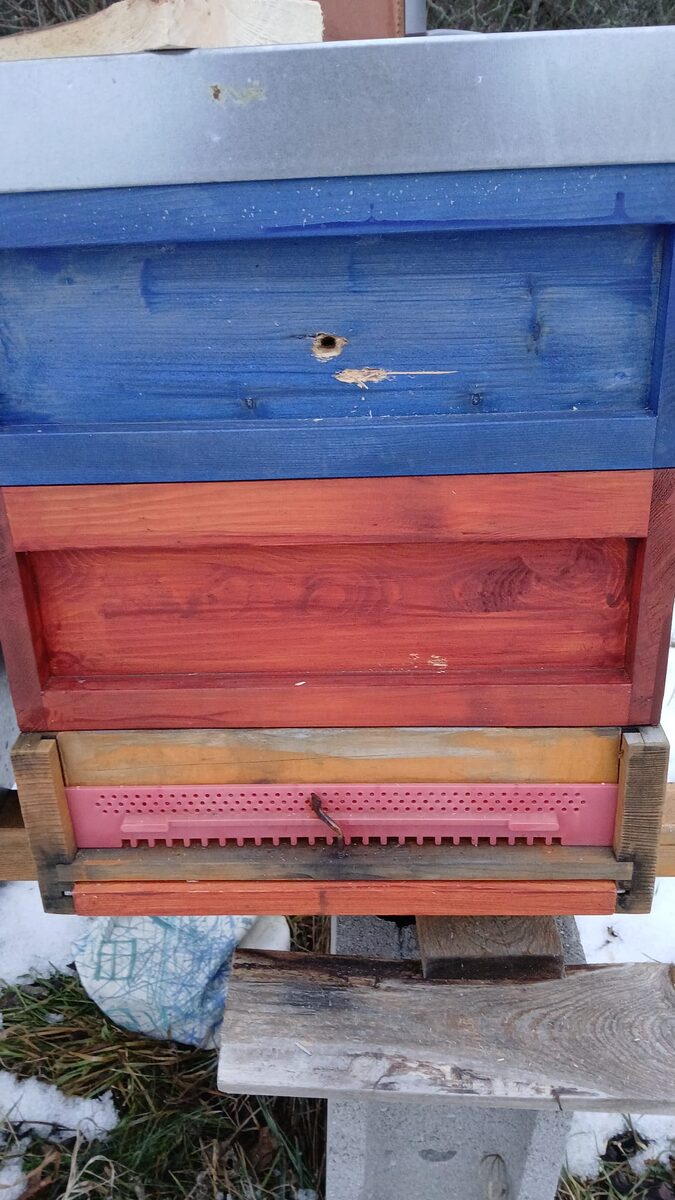 Hive with a small, still shallow hole